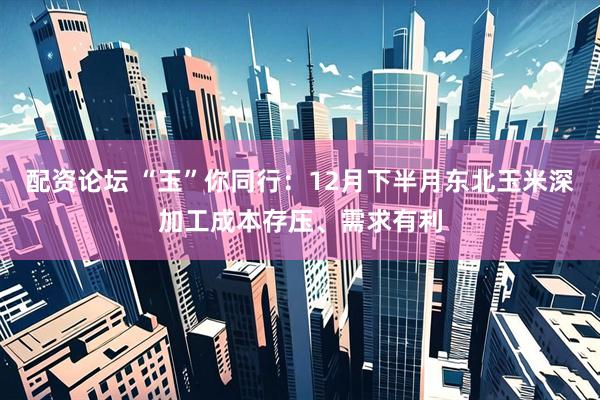 配资论坛 “玉”你同行：12月下半月东北玉米深加工成本存压、需求有利